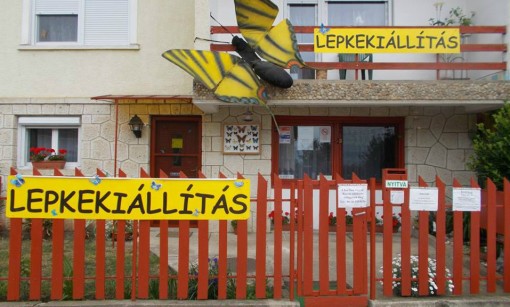   - Lepkekiállítás