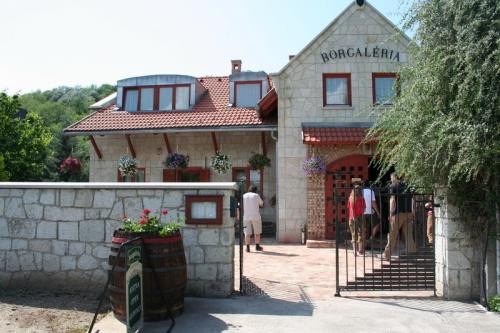   - Borgaléria Panzió Tokaj