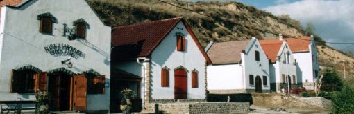   - Furmint fröccs és lecsó